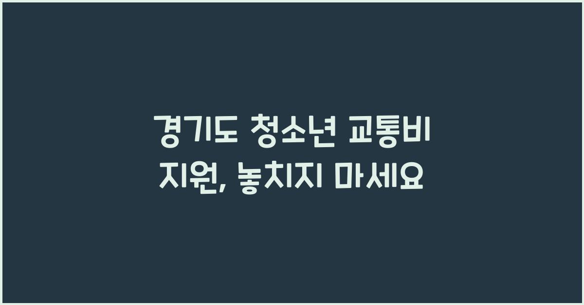 경기도 청소년 교통비 지원