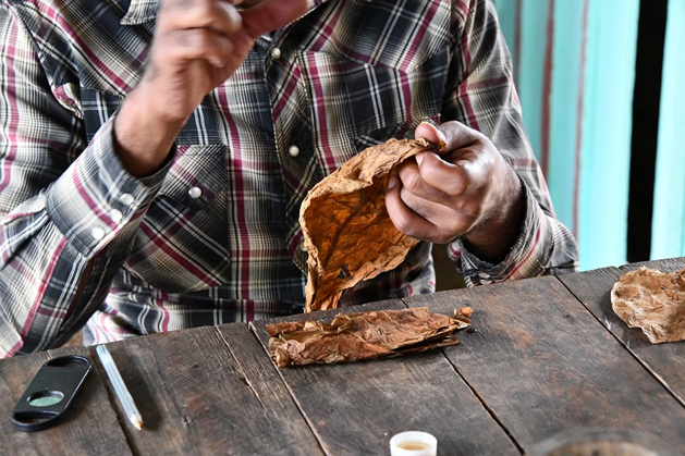 시가 숙성 기간