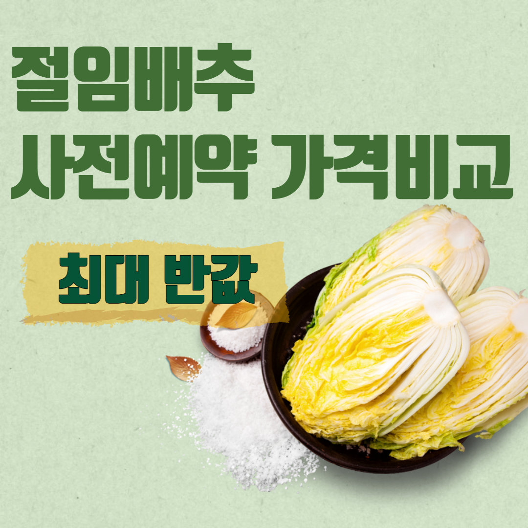 김장 절임배추 사전예약 가격비교