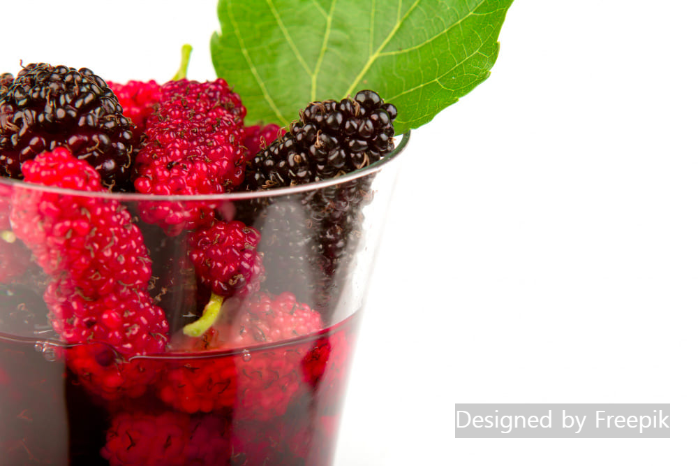 오디주 담그는 법