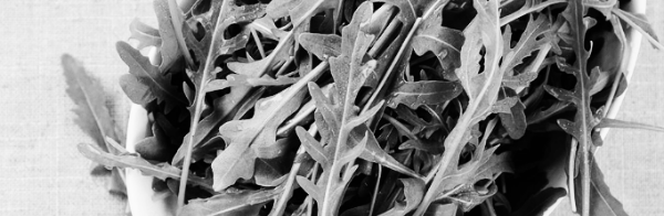 루꼴라 효능: 혈중 콜레스테롤 수치 감소, 혈액 순환 개선, 심혈관계 질환 예방