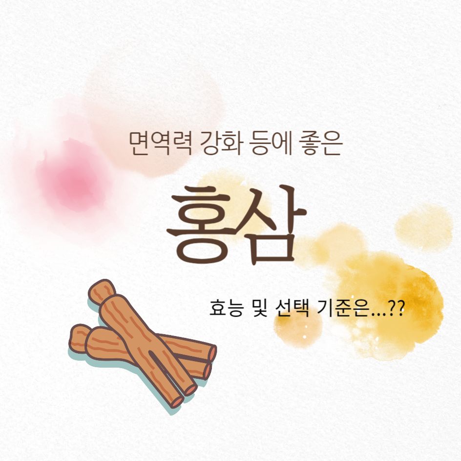 홍삼의 효능과 현명한 선택 기준