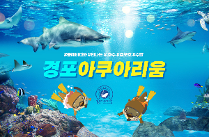 경포아쿠아리움
