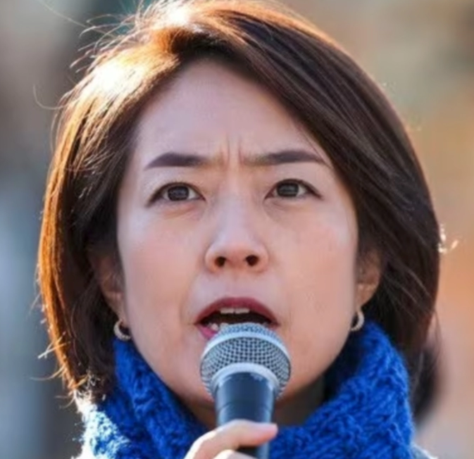 고민정 이재명 선거제 전당원 투표 무책임 발언 이유 &amp;#124; 고민정 프로필 재산 남편