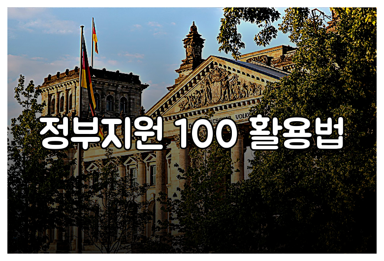 정부지원 100 활용법