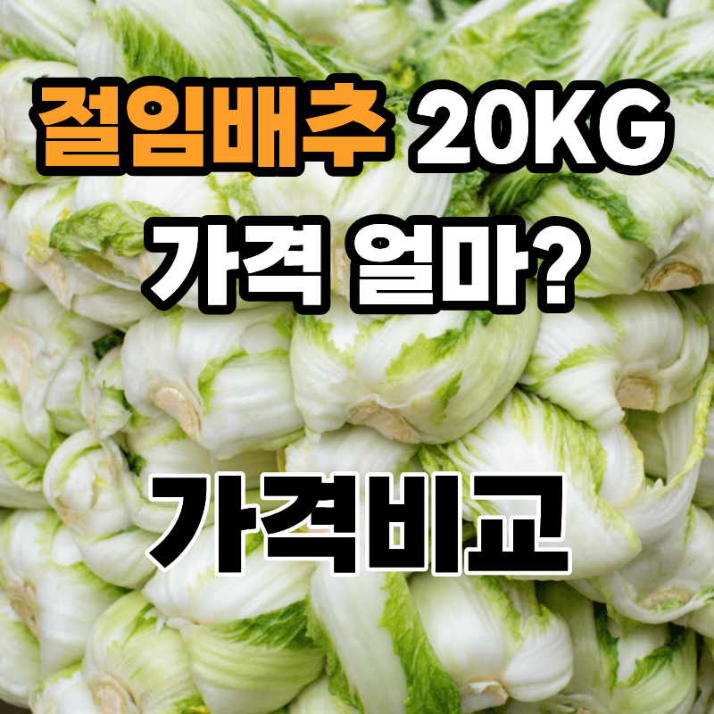 절임배추 20KG 가격