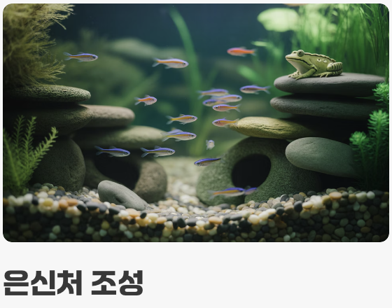 어항 준비, '계곡'을 옮겨오세요