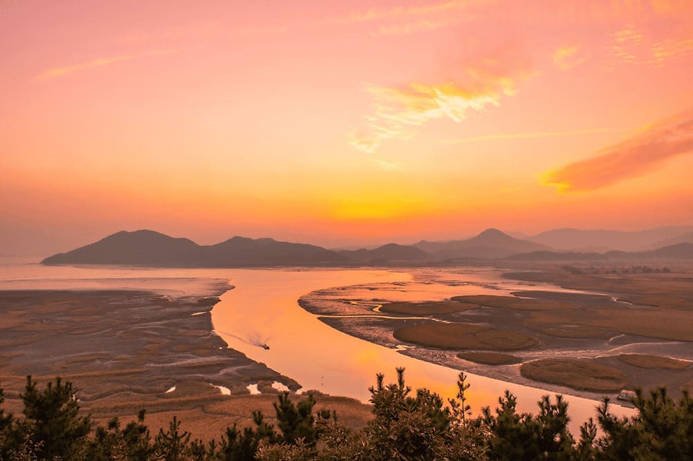 순천만 용산전망대
