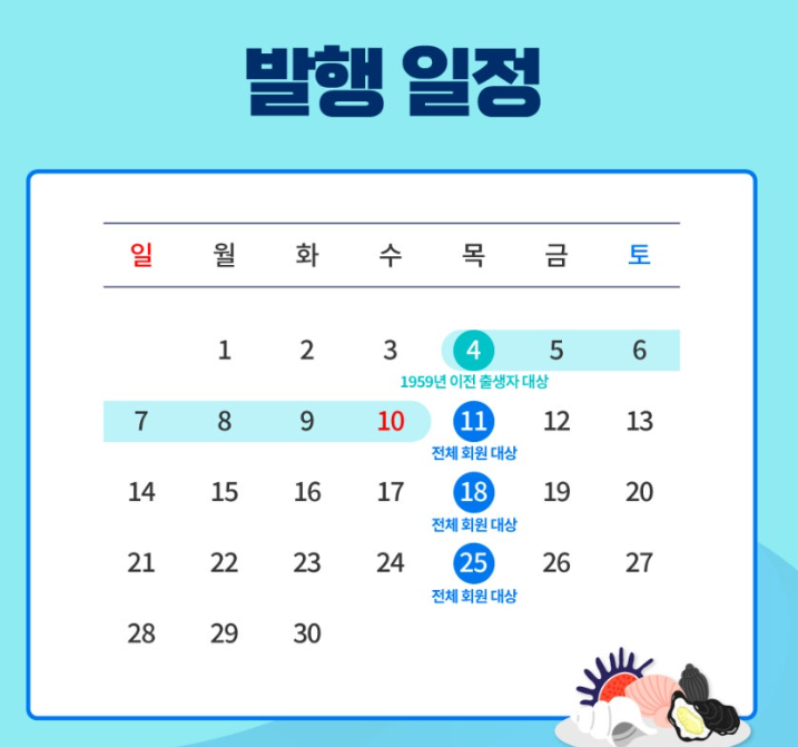 쿠폰 발행 일정