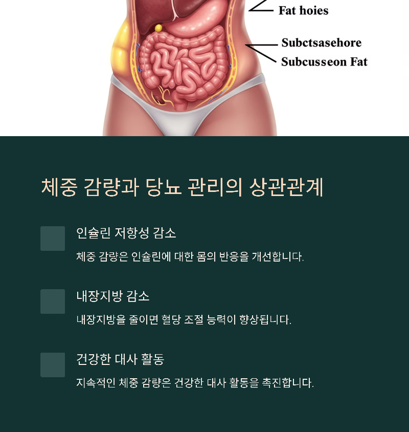 체중 감량과 당뇨 관리의 상관관계