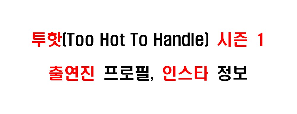넷플릭스 투 핫(Too Hot To Handle) 시즌 1 출연진 프로필 및 인스타그램 주소 정보에 대해서 알아보도록 하겠습니다.