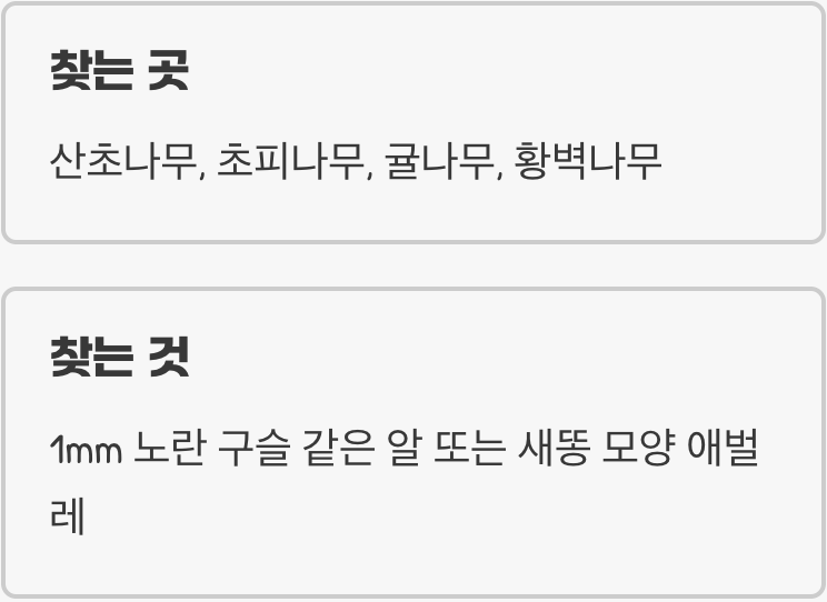 보물찾기, 꼬물이의 첫 식당을 찾아라