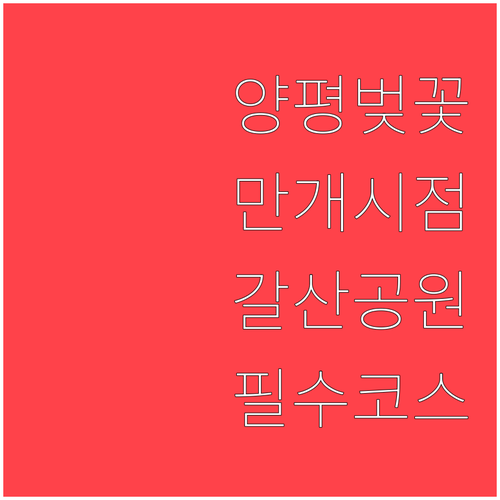 양평 벚꽃 만개 시기 예측과 갈산공원..