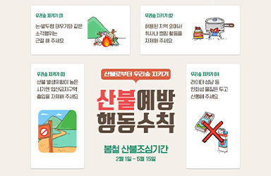 🔥 최근 산불 문제의 원인과 개선해야 할 산림정책