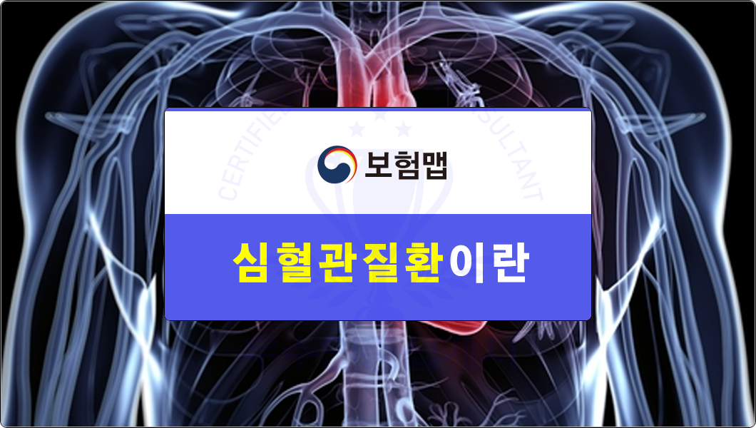 심혈관질환보험