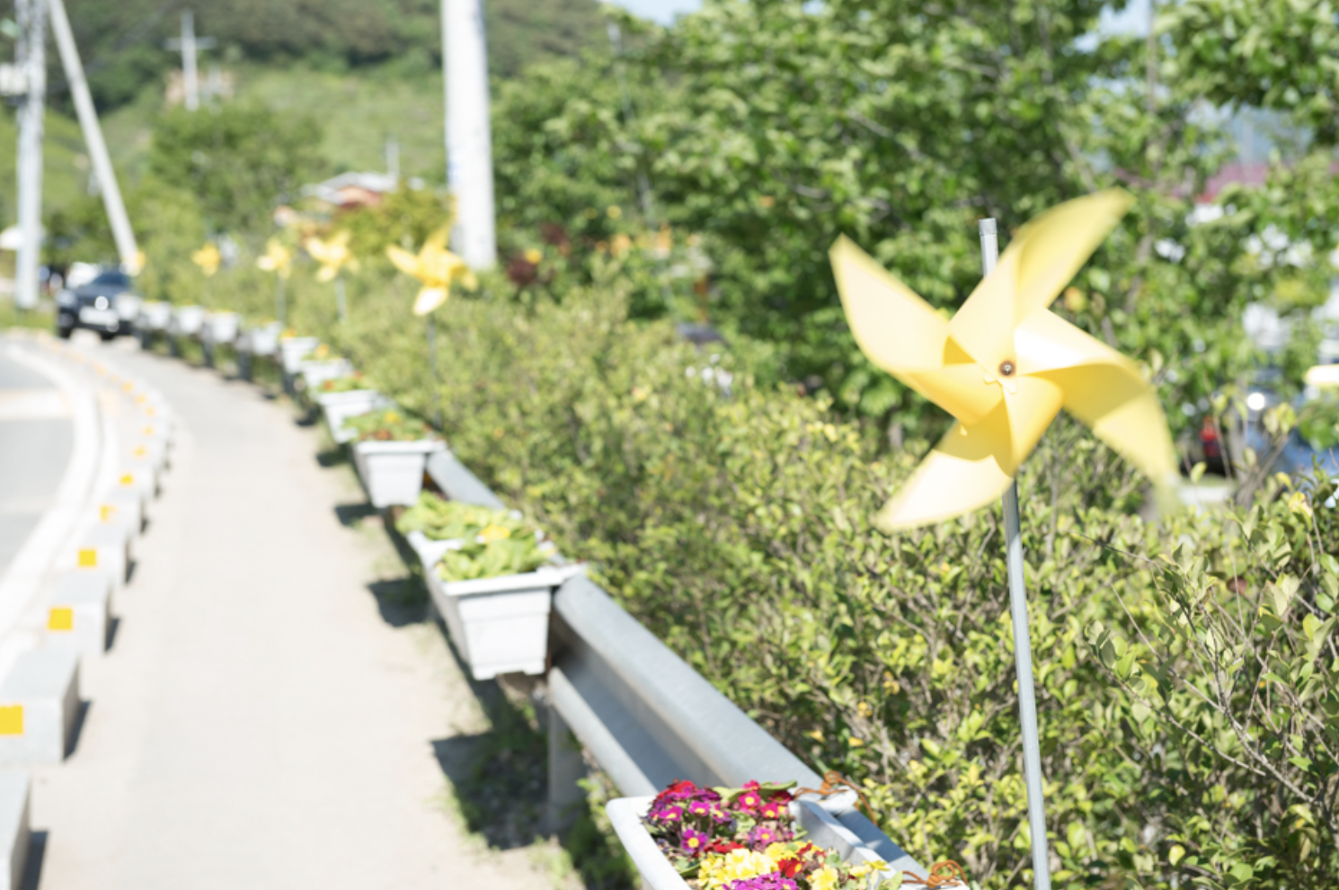 봉하마을 바람개비