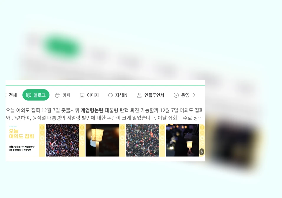 계엄령 논란_1_subsection