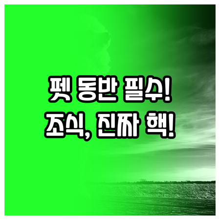 가족 여행 최적화 에임즈베리 시브룩 ..