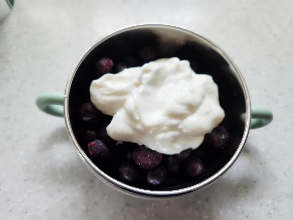 보울에-담긴-블루베리-요거트