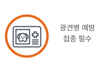 춘천 삼악산 케이블카 요금 및 운행정보
