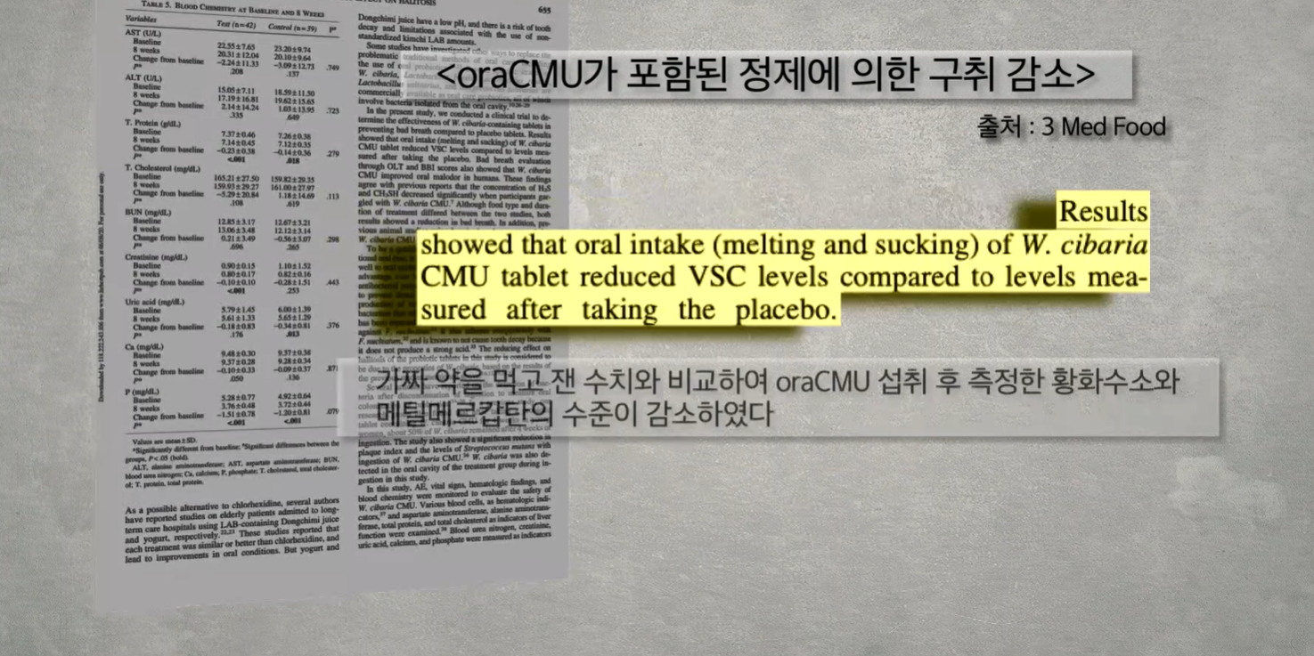 구강유산균 효과