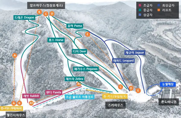 엘리시안-강촌-슬로프