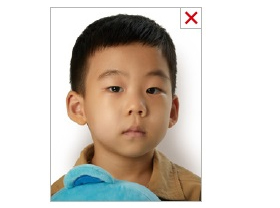 영유아 여권 사진 규격