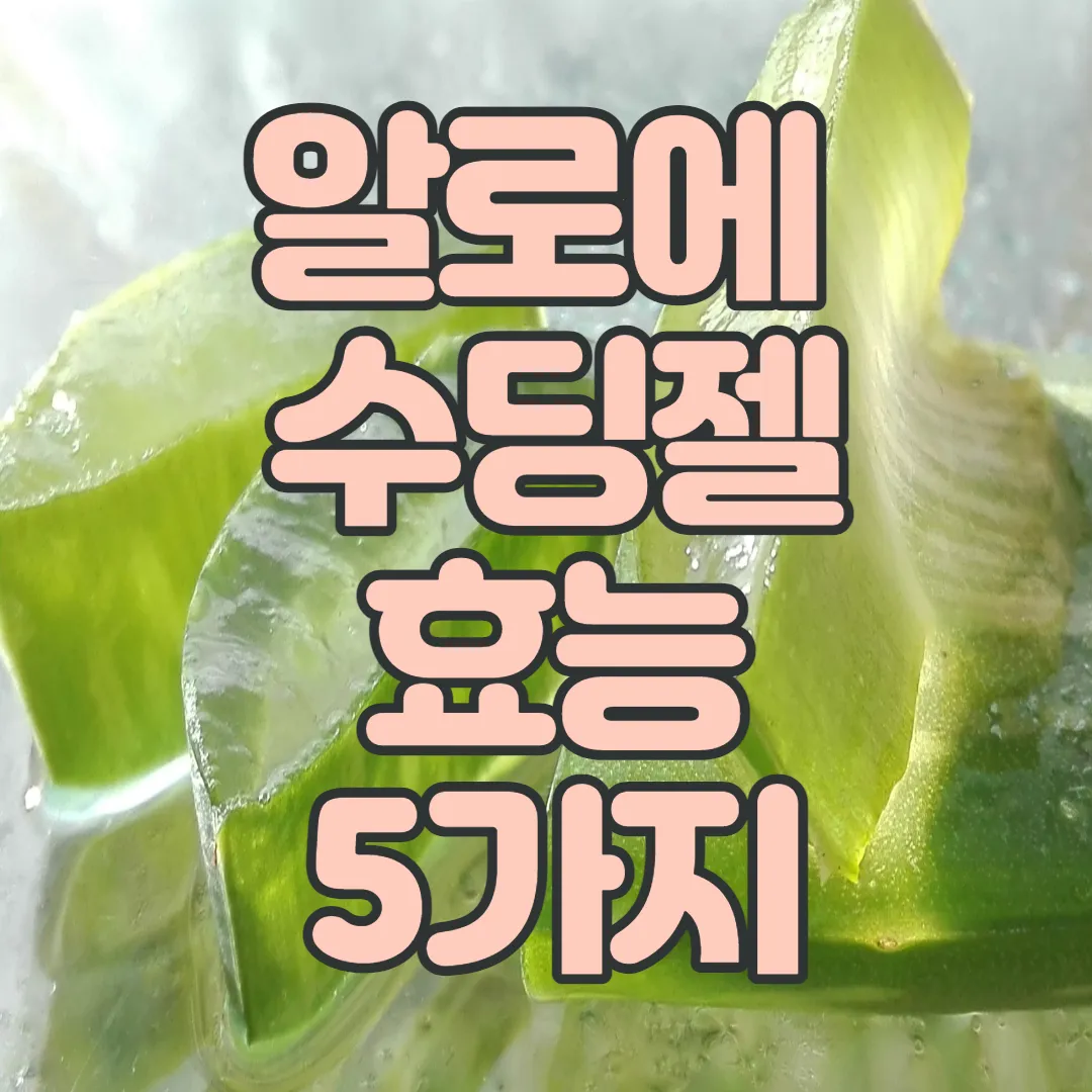 알로에-수딩젤-효능