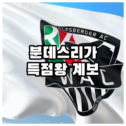 분데스리가 득점왕 계보 게르트 뮐러에