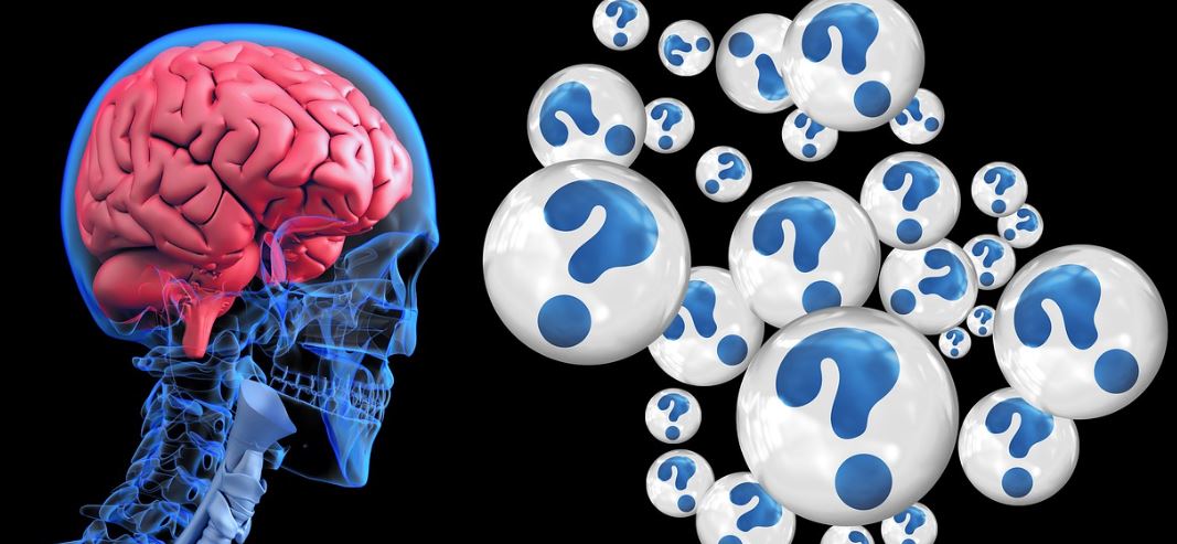 건강한 두뇌 치매 예방법 관련 이미지