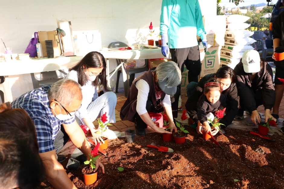 김천포도축제 기본일정과 프로그램 소개 박서진 박지현 왁스 한혜진 출연