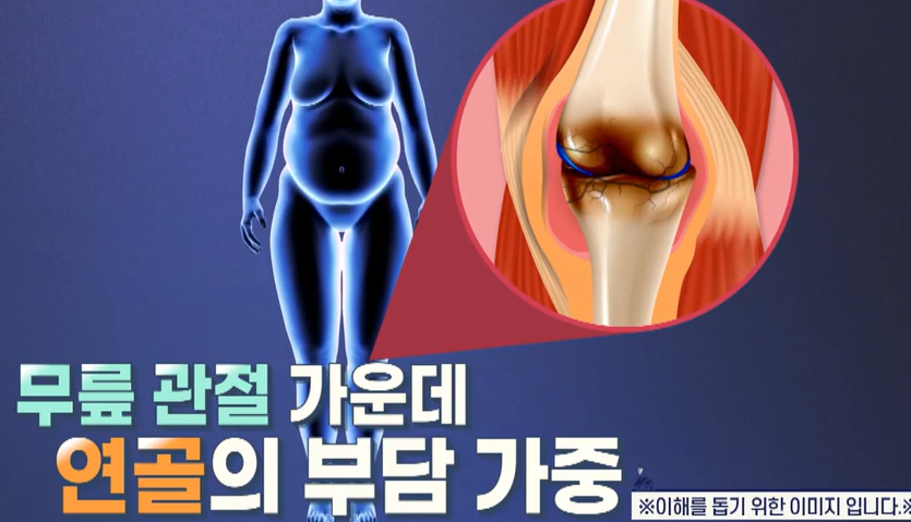 msm의 효능