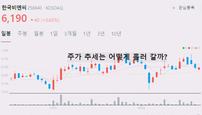 대마 관련주 대장주 TOP10 : 의료용
