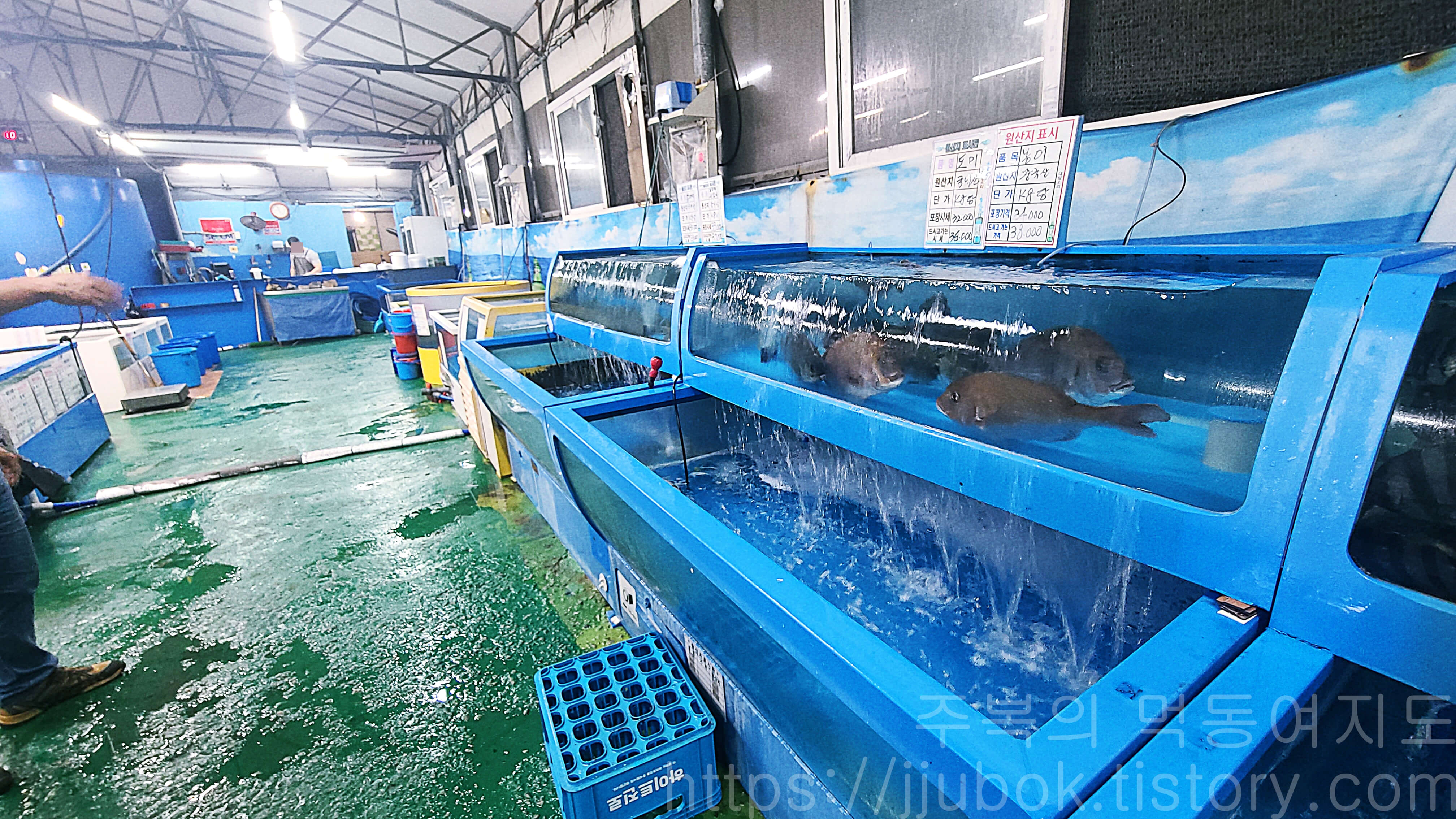 인천-작전동-싱싱활어-종합어시장-내부-수조-2