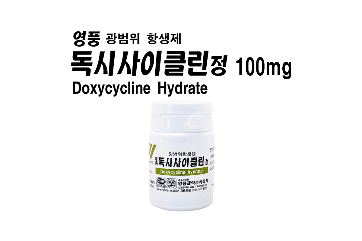 영풍 독시사이클린정 100mg