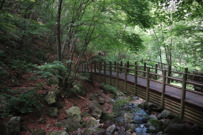 아이들과 즐기는 자연휴양림 이용법 관련 사진