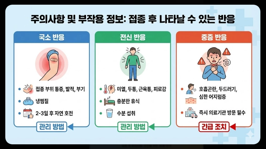 독감무료접종 대상자,접종일정,접종가능병원 3분확인