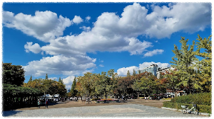 일산문화광장
