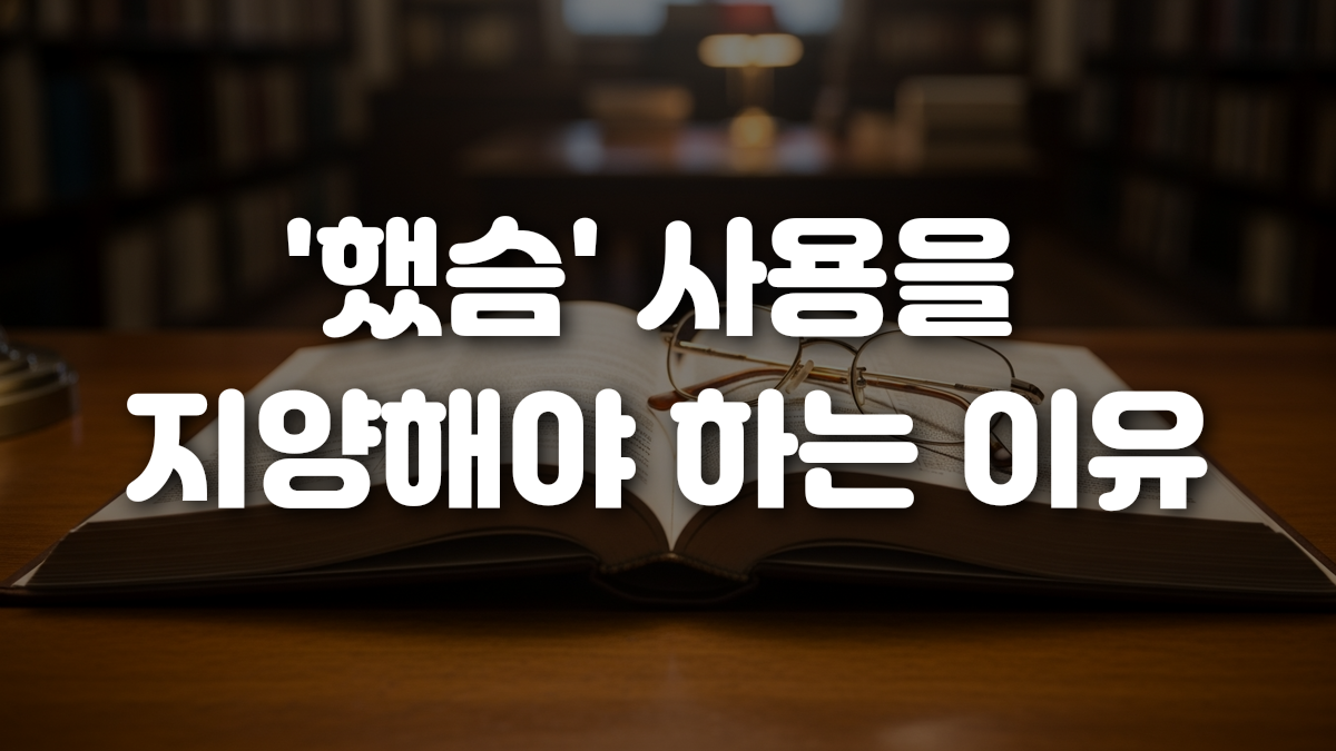 했슴 사용을 지양해야 하는 이유