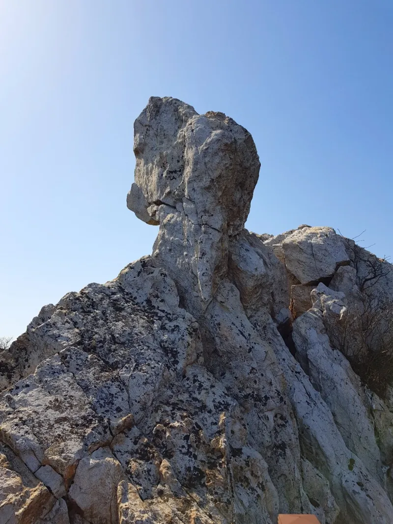 해남 달마산