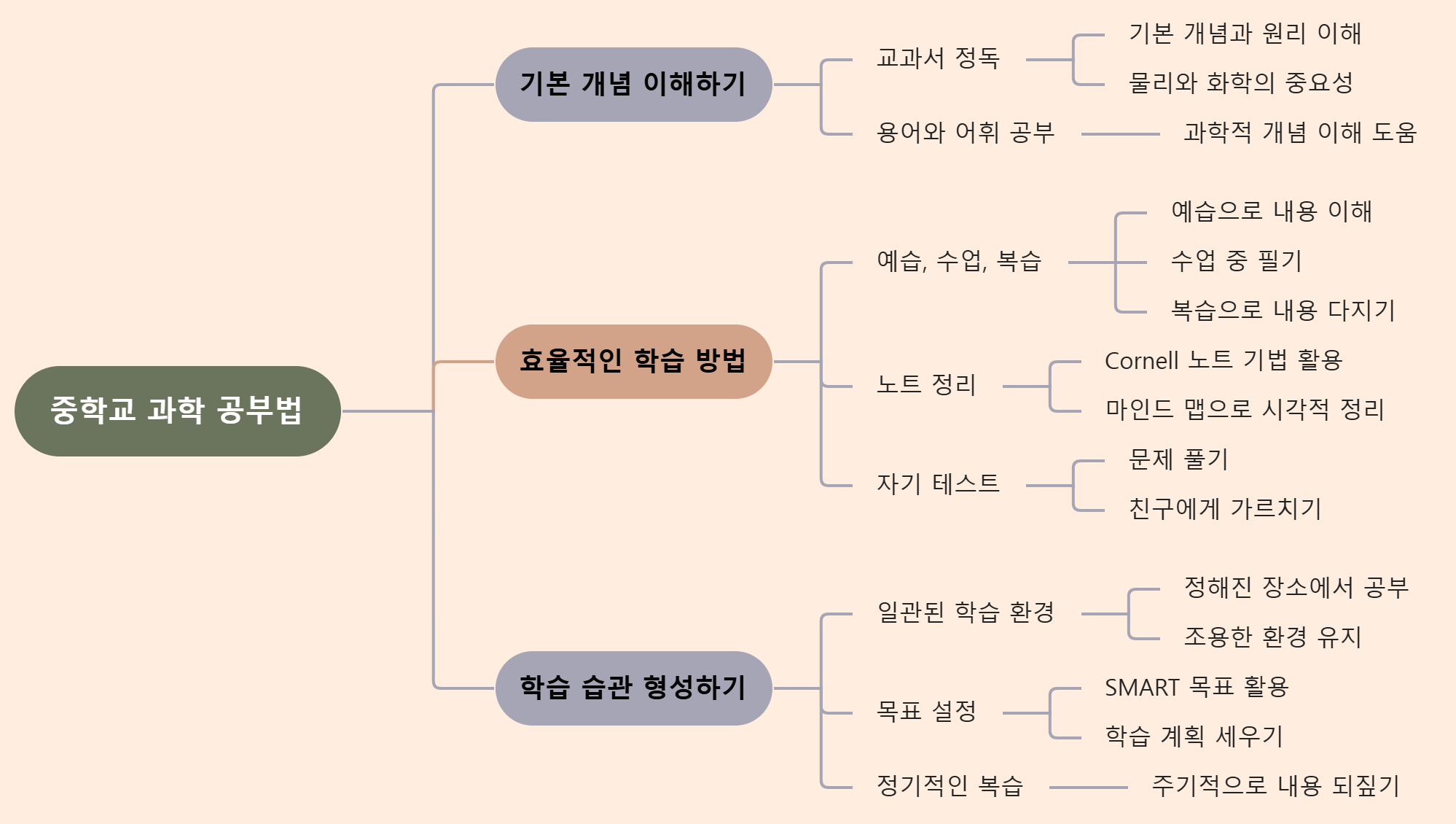 중학교 과학 공부: 기본 개념, 효율성, 습관 형성