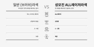 스마트라섹