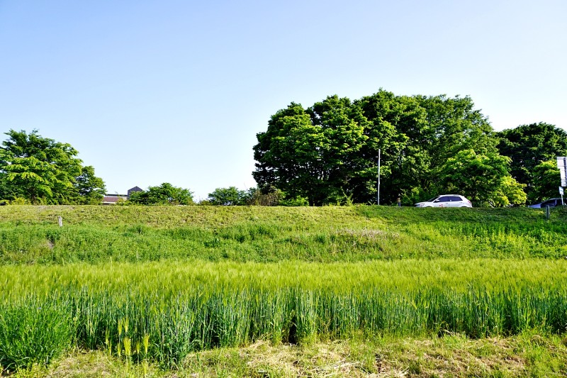 충청북도 충주 단월파크골프장 소개