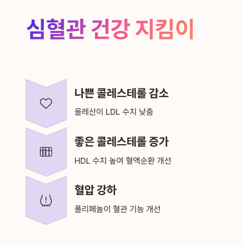 엑스트라버진 올리브오일 효능 : 심혈관 건강 지킴이