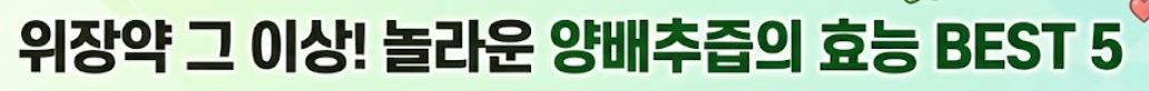 양배추즙의 효능