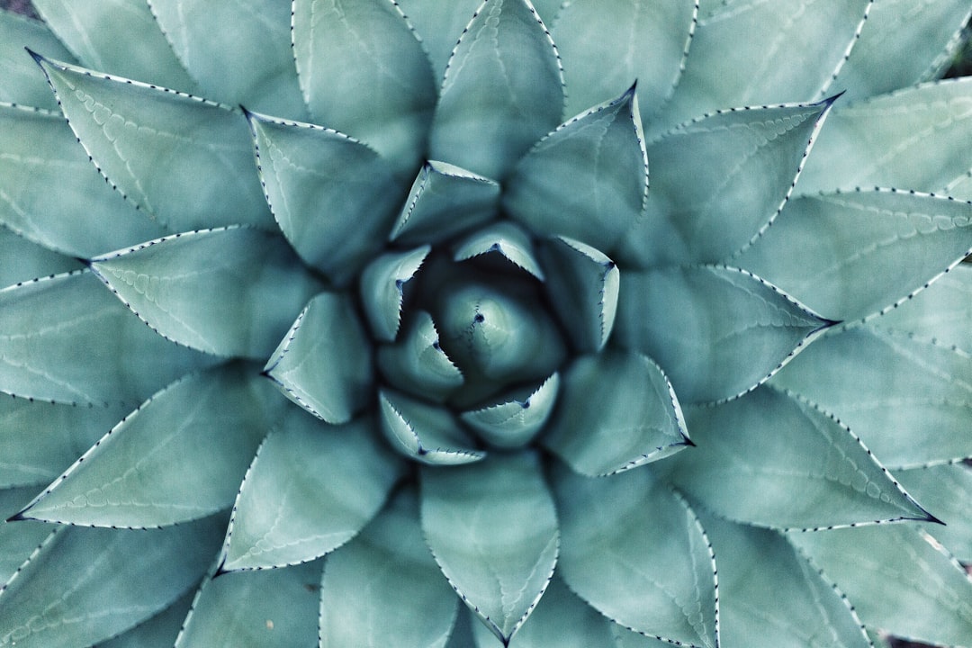 Botanical Garden