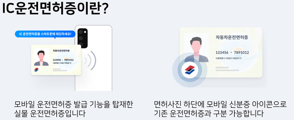 IC운전면허증과-일반면허증-차이