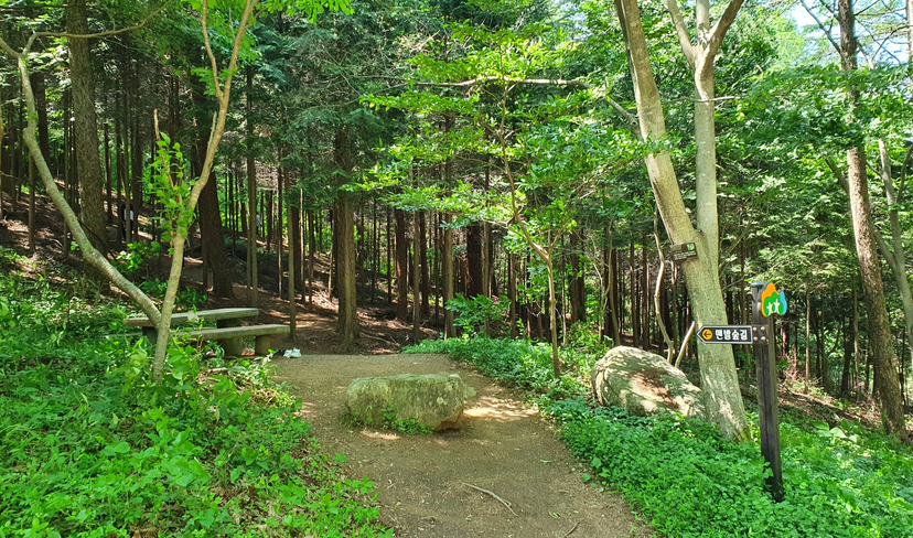 장성 축령산 치유의 숲