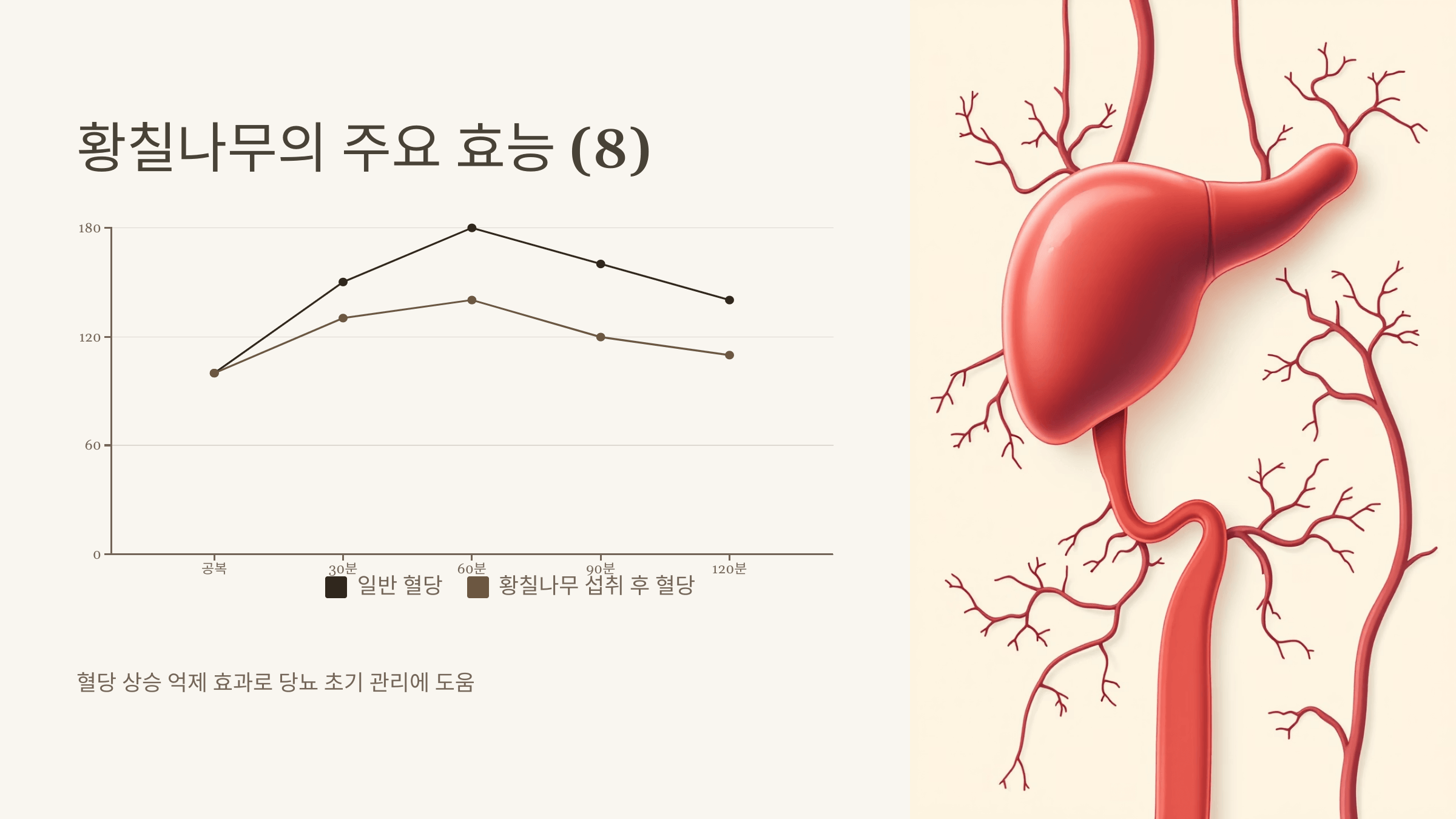 황칠나무 사진입니다.