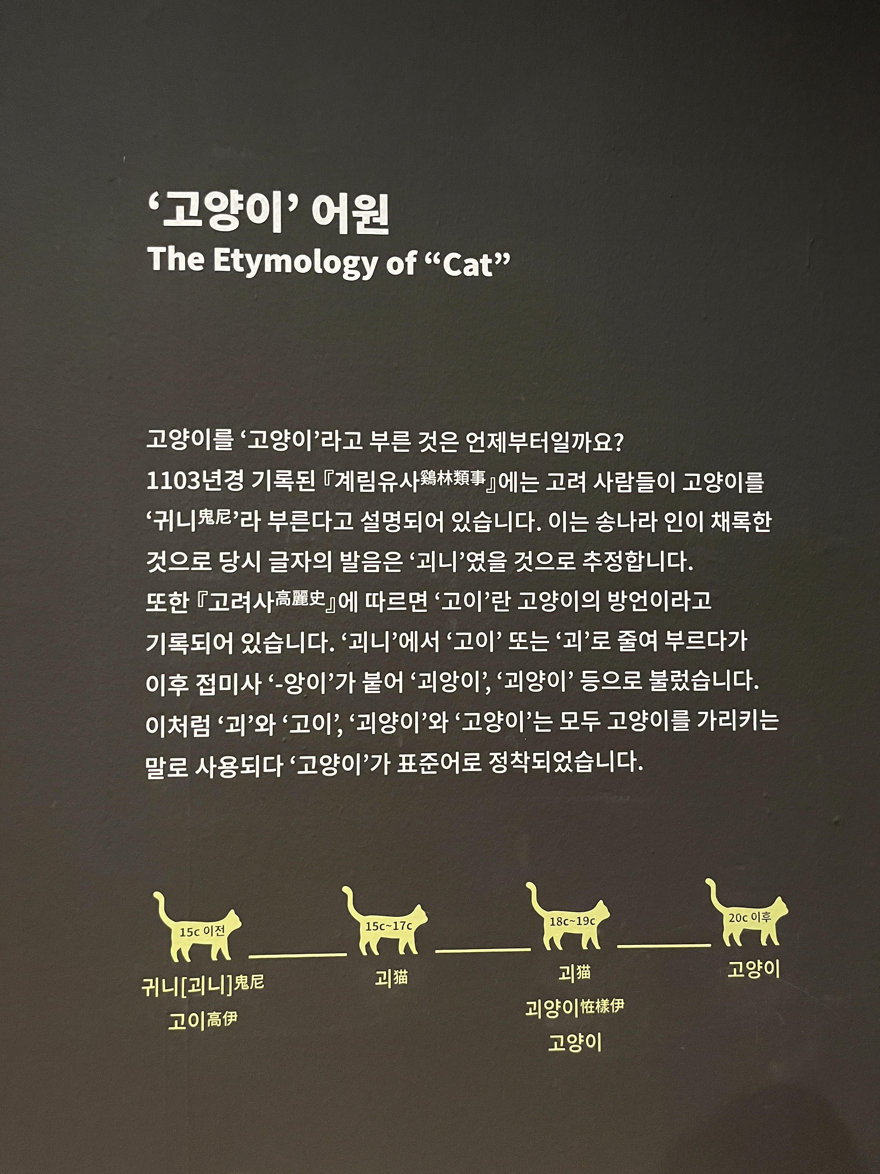 요물 우리를 홀린 고양이